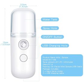 Portable Nano Facial Mist - Handy Steamer for Hydrating and Mist Hand Eyelash Extensions - 30ml USB Mist Handy Steamer for Facial Hydrating (Color: White)